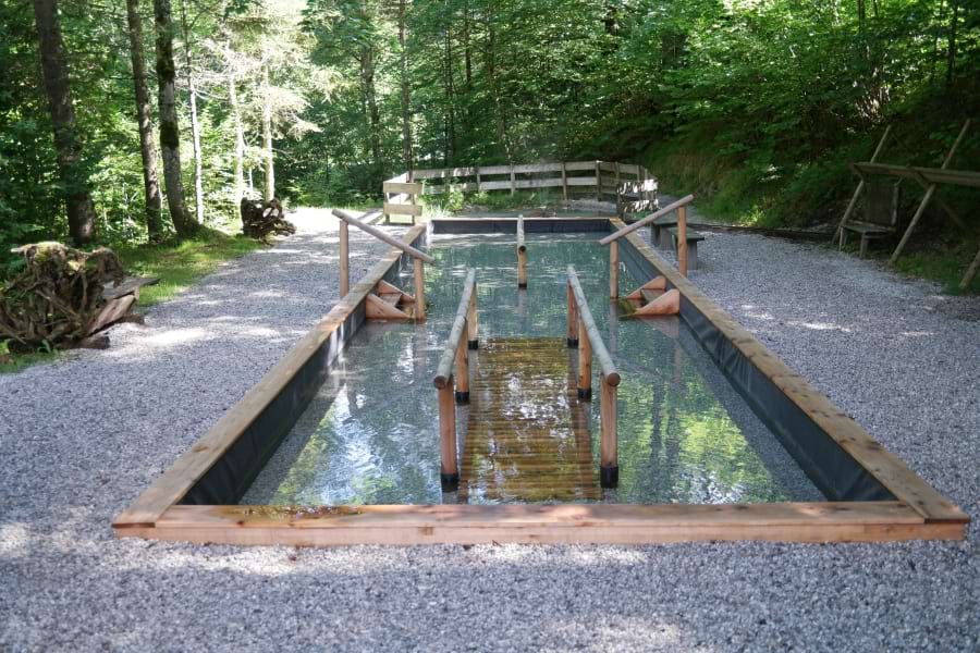 Kneippbecken mitten im Wald mit eisig kaltem Wasser gefüllt