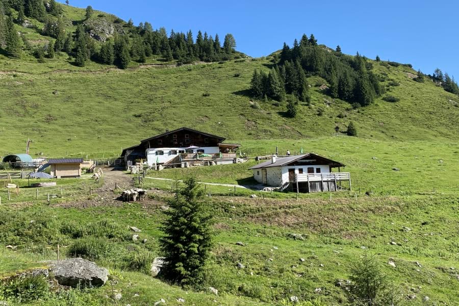 Grießenbodenalm mit schöner Terrasse inmitten von grünen Almen, grünen Nadelbäumen und grünen Bergen. Sonne, blauer Himmel