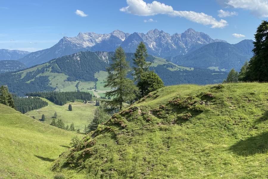 Wunderschöne, grüne Almen, grüne Nadelbäume und traumhafte Berge