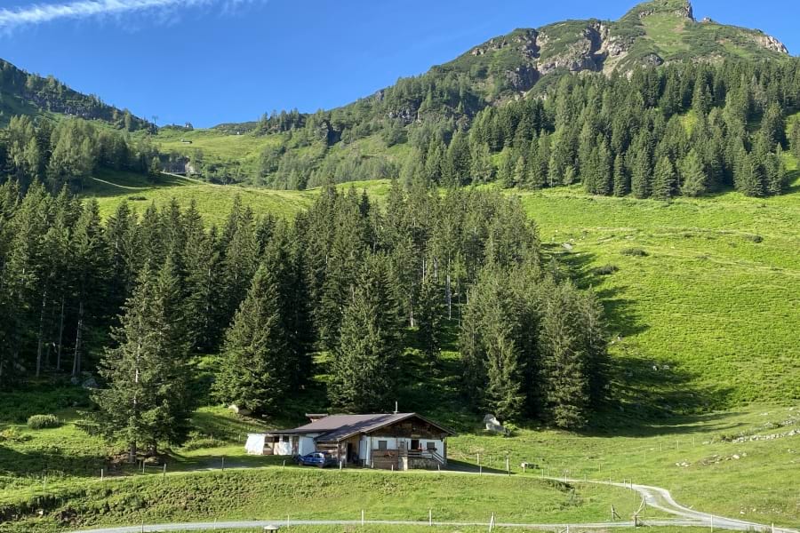 Berglandschaft, grüne Almen, grüne Nadelbäume, Berge, Alm-Haus